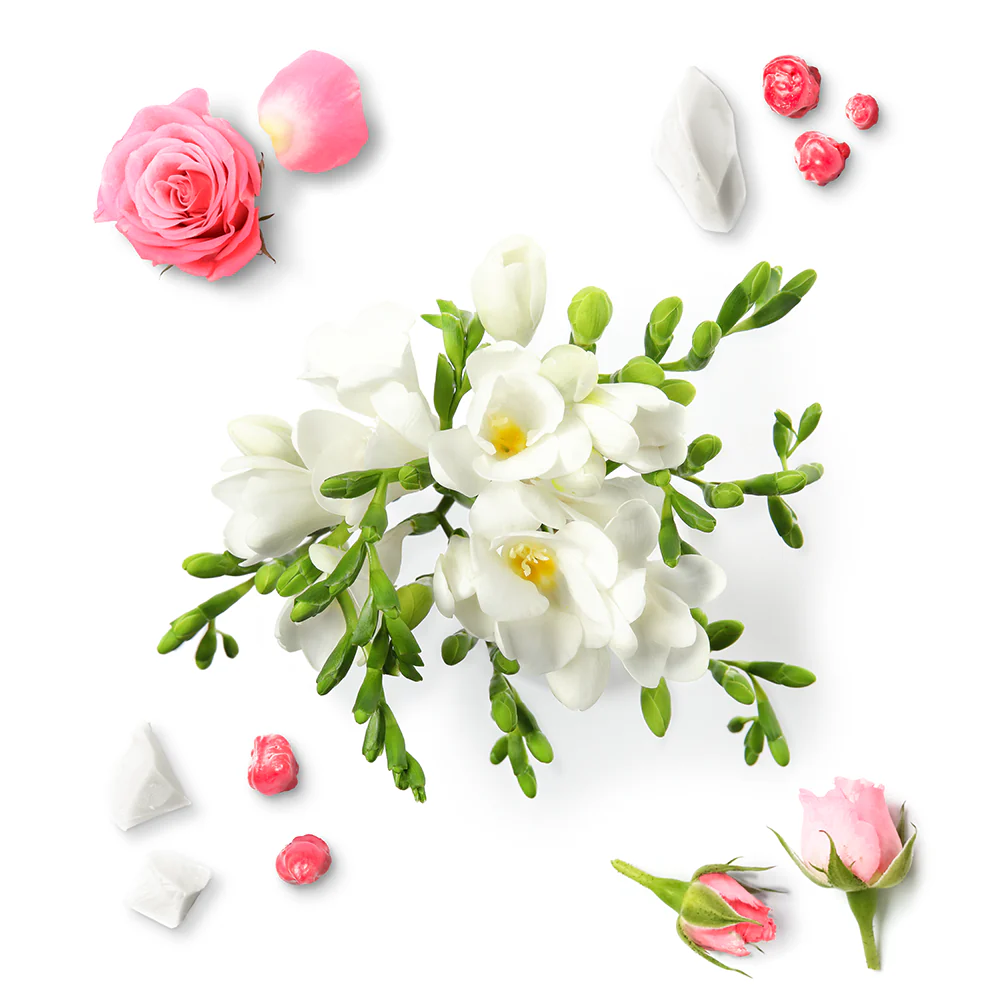 Miniature 2